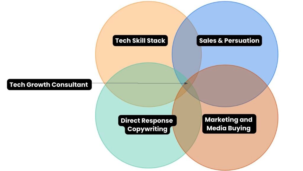 Tech Growth Consultant